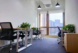 菏泽养殖猴头菇干货加工批发