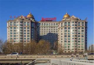 浙江微型螺杆真空泵企业