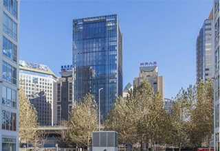 澳洲全自动大拉手厂家现货