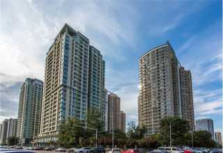 黄山养猪系统价钱