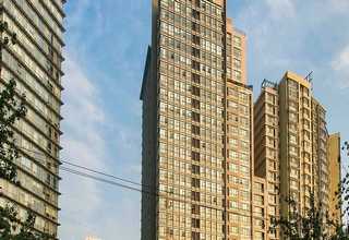 河南丝杠组合轴承采购