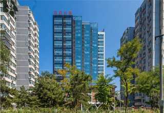 江苏樟木木箱生产厂家