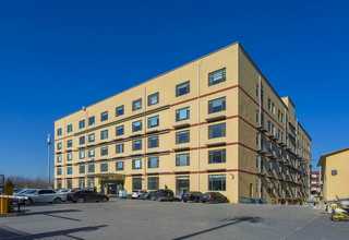 固定头扎带公司